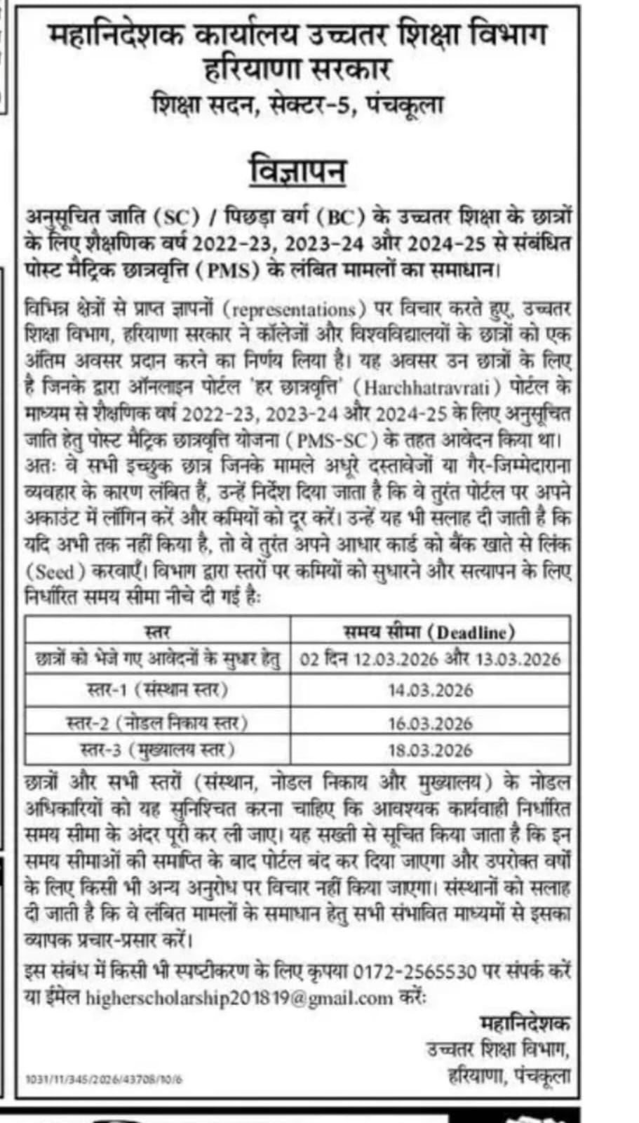 News image